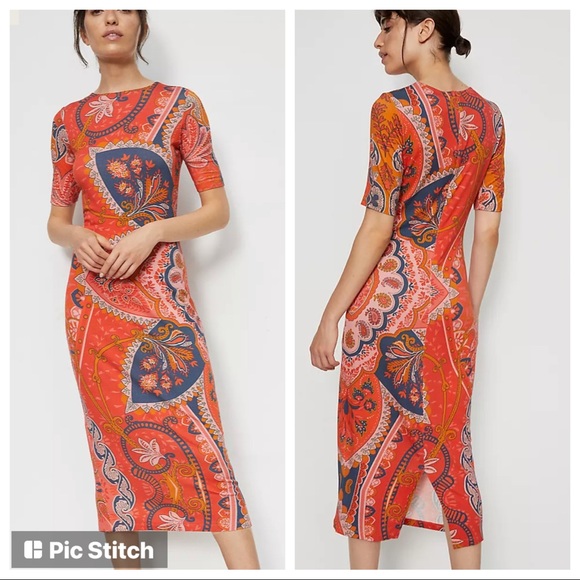 Anthropologie Dresses & Skirts - Anthropologie Farm Rio Giananni shift dress